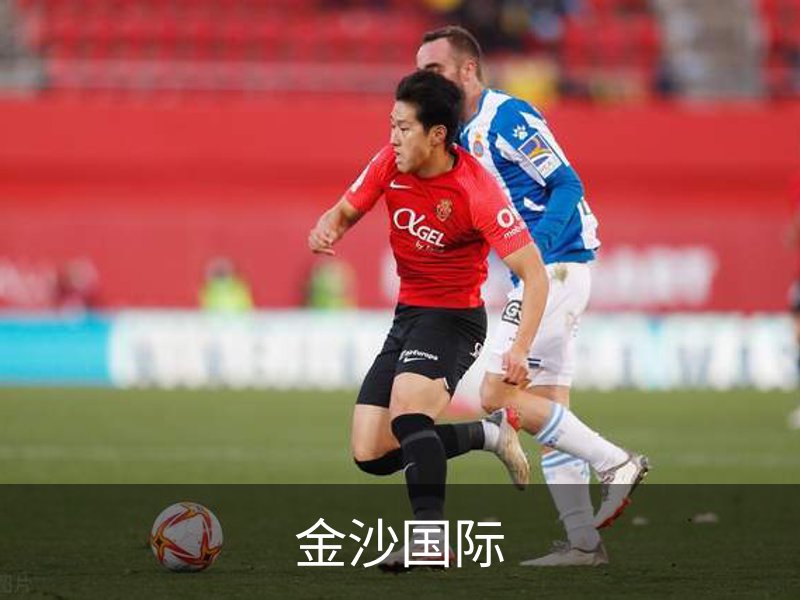 金沙国际介绍